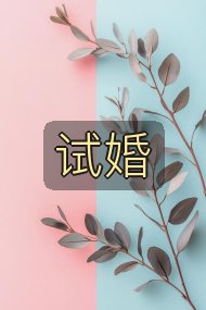 试婚封面